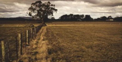 Termine Ultimo Per I...