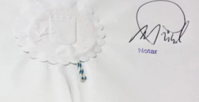 La Professione Del N...