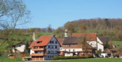 Usucapioni Irregolar...