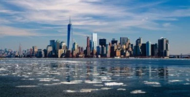 Paul Mccartney Compr...