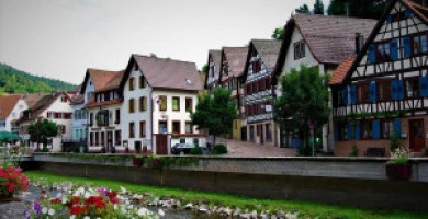 Mecato Immobiliare T...