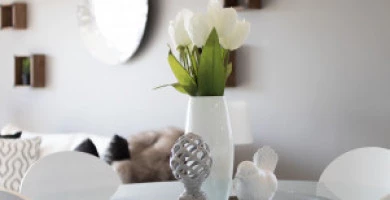 Home Stager Professi...