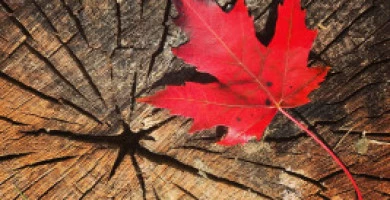 Investimenti Immobil...