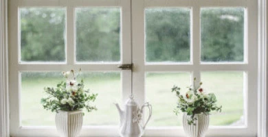 Paraspifferi Tipolog...