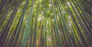 Rivestimenti Interni...