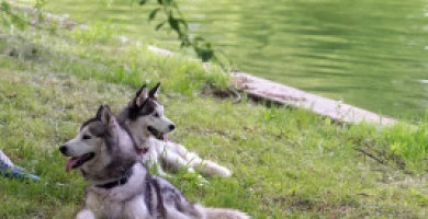 Gli Spazi Esterni Pe...