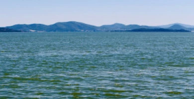 Quali Sono Le Ville ...