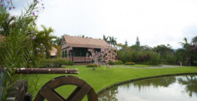 Mutuo Prima Casa Gio...