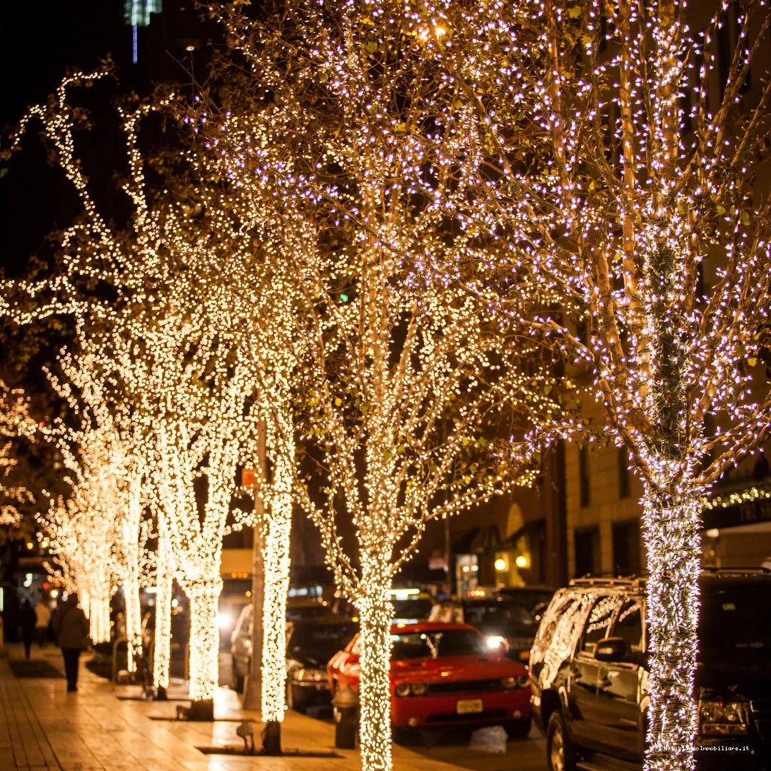 alberi natalizi decorati con luci da esterno
