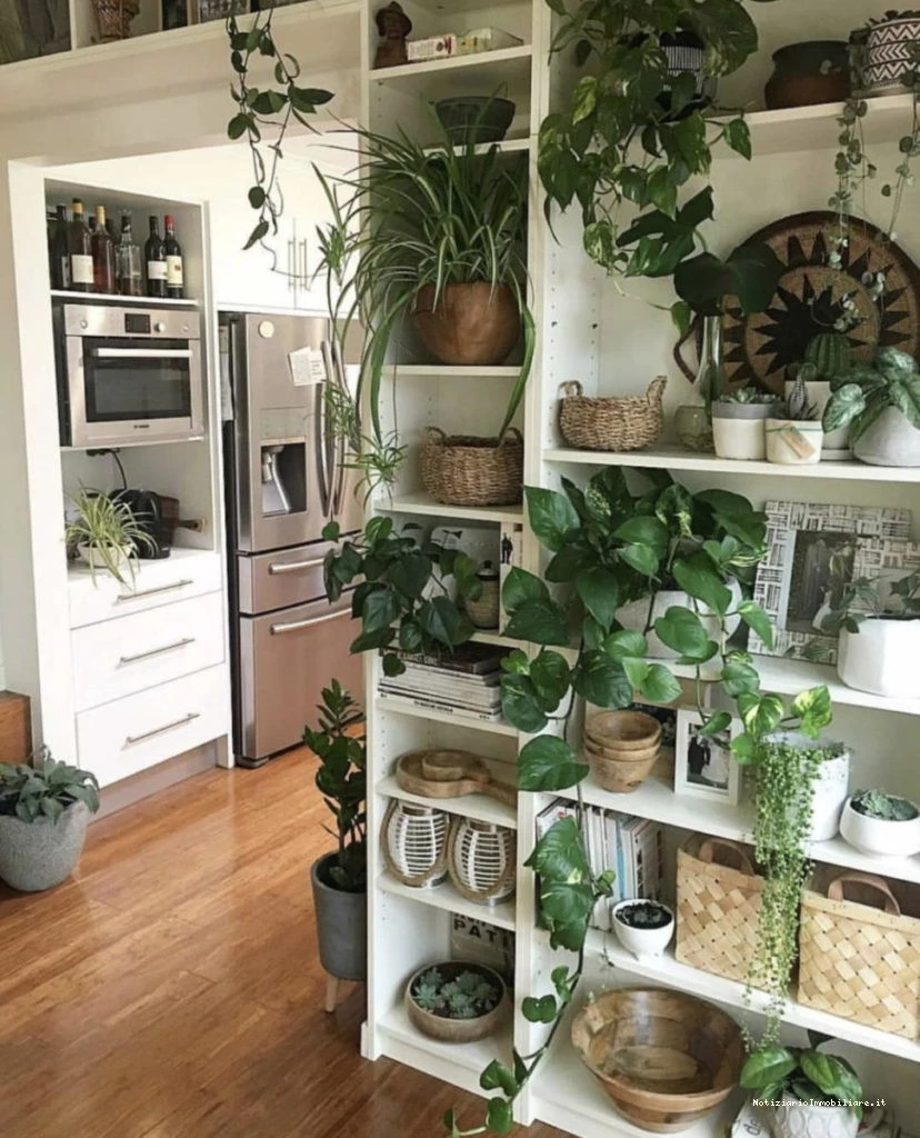 rinnovare casa con pochi soldi con tante piante