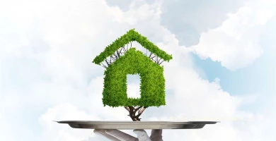 Mutuo Green Cos' , I...