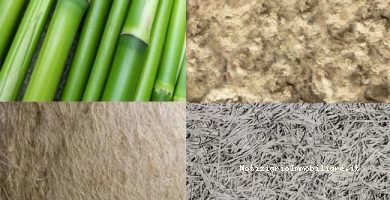 10 Materiali Per L'e...