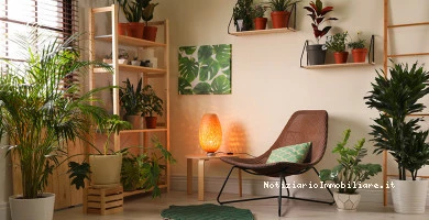 Piante Da Appartamen...