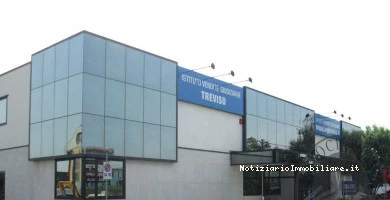 Ivg Treviso - Istitu...