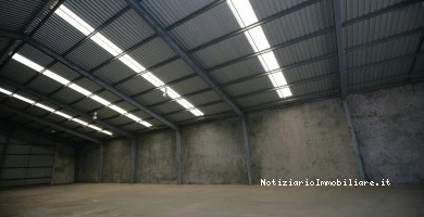 Capannoni All'asta C...