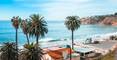 Contratto Di Locazio...