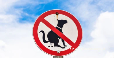 Cartelli Di Divieto ...