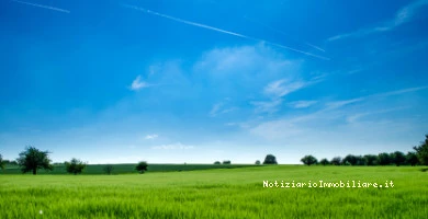 Superficie Fondiaria...