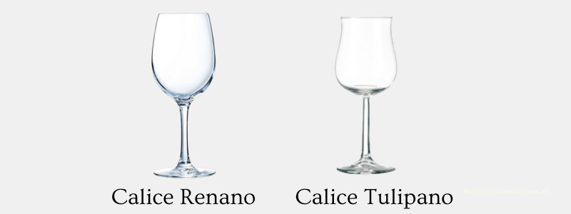Calici per vino bianco Calici per vino bianco renano e tulipano